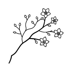 Cherry blossom branch line art