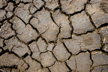 Wall texture soil dry crack pattern of drought lack of water of nature brown old broken background.