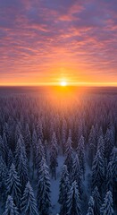Winter wonderland: Snowy forest under a colorful sky with orange and pink hues at sunset or sunrise.
