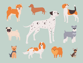 Dog breeds set in flat cartoon style. Cute vector illustration of adult purebred dogs of different colors and sizes. Cheerful and happy pets for print or web