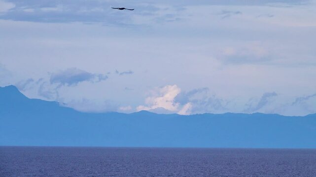Tropical seas. Views of the Bali Sea from the ship in winter,summer in the southern hemisphere. Indonesia. Brown booby (Sula leucogaster) flies over the water