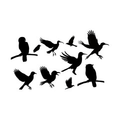 bird silhouette art,background,vector,illustration