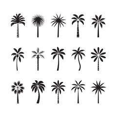 set of vector palms
