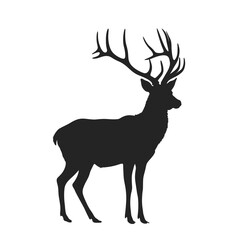 Fototapeta premium Majestic stag silhouette dark background graphic