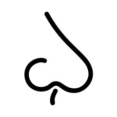 Nose
