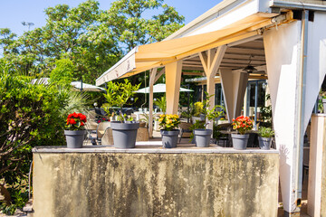 Obraz premium Potted flowers and greenery in front of sunny outdoor cafe terrace. Garden decor, leisure space, and summer atmosphere.