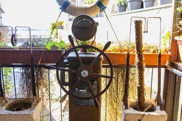 Vintage ship helm decor with life ring and potted plants. Nautical nostalgia, maritime charm, and...