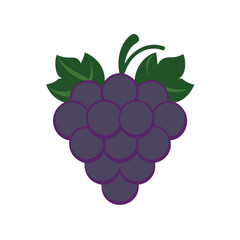 Flat Style Purple Grape Bunch with Green Leaves.