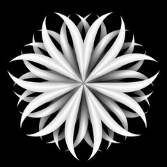 Simple white flower isolated on black background.