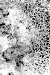 Artistic backgroun. Grunge filter. Monochrome particles abstract for wallpaper or backgroun copy mask for photo editor.