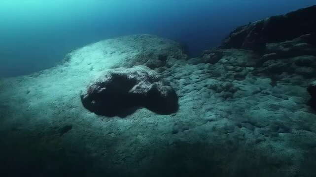 Underwater Robotic Exploration: A Deep Sea Vehicle Investigating the Ocean Floor