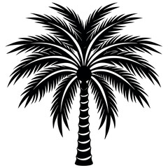 Obraz premium Black and white silhouette of a palm tree