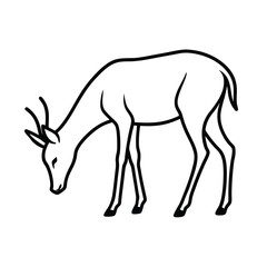 Line art illustration of an antelope grazing