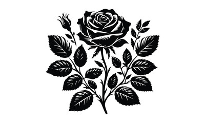 Rose Silhouette, Elegant Rose Silhouette Isolated on White Background
