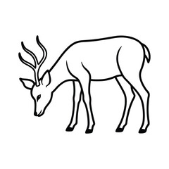 Line art illustration of a deer buck grazing