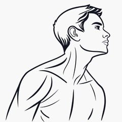 A minimalist line-art vector of a male torso highlighting the chest and collarbones