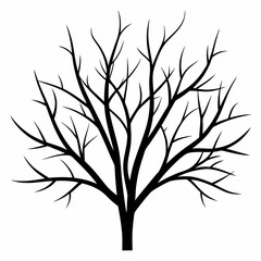 bare branches silhouette vector black on white background