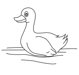 Cute cartoon hand drawn vector Duck floating in pond outline.