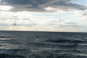 Obraz premium Moody view of Chicago skyline over Lake Michigan with flying bird and dramatic clouds
