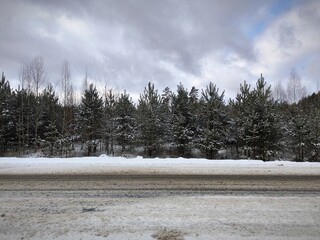 Winter landscape with snow-covered forest trees along an asphalt highway. snow-covered pine trees...