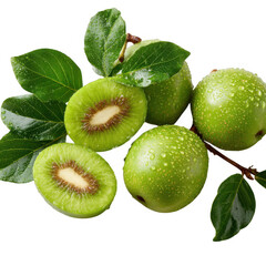 Fototapeta premium Fresh kiwi fruits with leaves isolated on transparent background