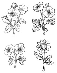 Four flower sketches feature line art of varying floral species and leaf arrangements
