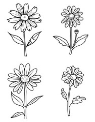 Four stylized daisy flowers with stems and leaves arranged in a 2x2 grid