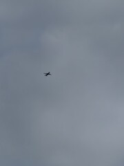 airplane in flight on the sky