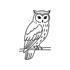 Fototapeta premium owl sitting on branch