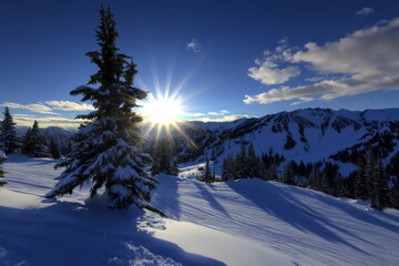 Snowy Mountain Landscape with Bright Sun and Pine Trees at Dusk