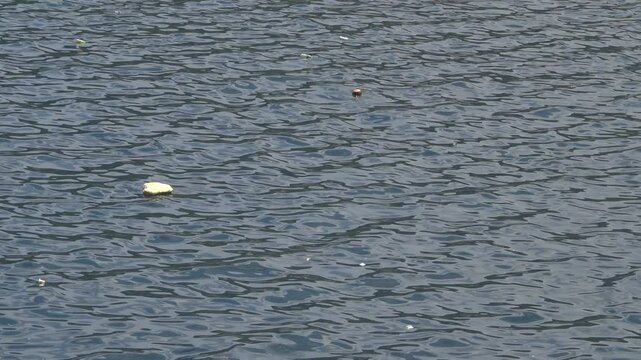 Oceanography. Lot of debris on surface of Bali Sea near Sulawesi (smooth belt). Ocean pollution. Great Pacific Garbage Patch is constantly being fueled and growing, photodegradation, toxic substances