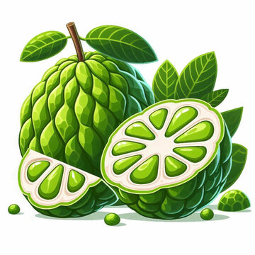 Green sweetsop fruits are sliced and whole with leaves