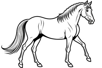 Obraz premium Horse Vector Illustration - Elegant Equine Outline for Designs- Perfect for Coloring Books- Logos- and Graphic Projects- Download Now- High-Quality Image