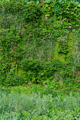 A vibrant vertical wall features a rich variety of plants and flowers, creating a lush and colorful living tapestry. 