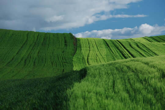 Rolling green fields under a cloudy blue sky