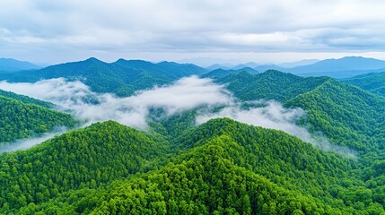 Obraz premium Aerial view of green mountains and clouds in the early morning, misty forest landscape.