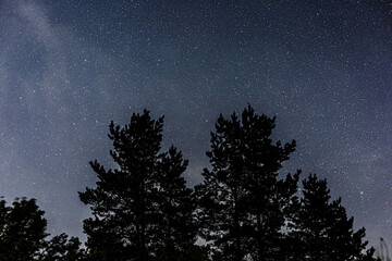 Fototapeta premium sky and clouds