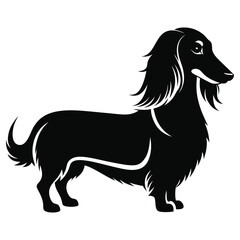 Silhouette of a long haired dachshund dog standing sideways