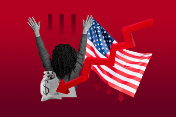 Trendy poster photo collage of anonym businesswoman stand arrow regress fall stats america flag...