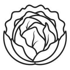 vector illustration of a rose