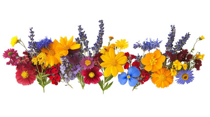 Bright flat lay of colorful summer florals forming a border isolated on a transparent background