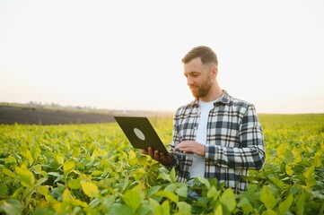 Young handsome agriculture engineer squatting in soybean field with laptop in hands in early summer