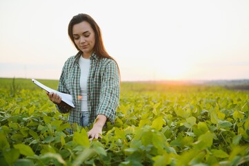 Female farmer or agronomist examining green soybean plants in field