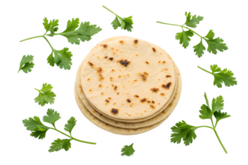 Delicious Homemade Flatbreads Simple Recipe & Cooking Guide