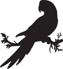 A silhouette of a parrot perched on a branch with detailed leaves against a plain white background image view