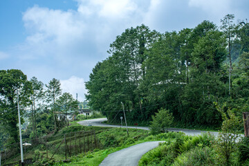 Curved Hilly road with parallel electricity lines