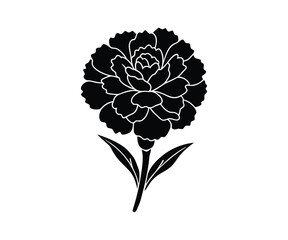 Solid Black Carnation Flower with Leaf on White Background, Bold Floral Design for Graphic Elements and Strong Visual Statements