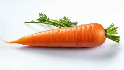 Single carrot with greens on white