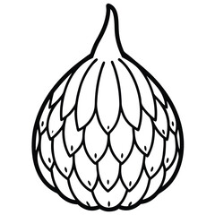 Isolated line art drawing of a fig on white background