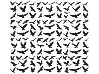 Pattern of Black Silhouettes of Birds in Flight, silhouettes birds in various flight, Variety of Black Silhouette Birds in Flight, black silhouette images of birds, likely eagles or vultures, in vario